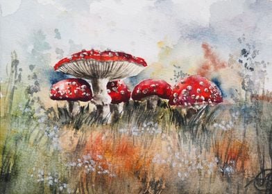 Toadstool mushrooms 