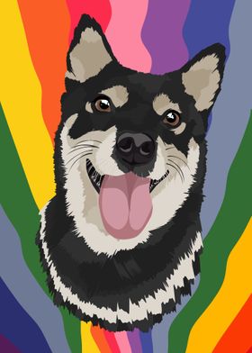 pet dog rainbow