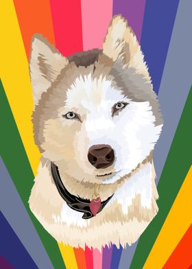 pet dog rainbow