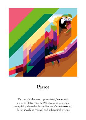 WPAP of Parrot