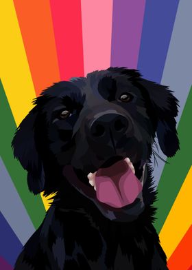 pet dog rainbow