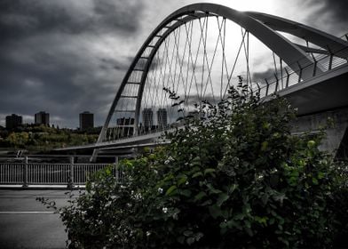 The Walterdale Bridge