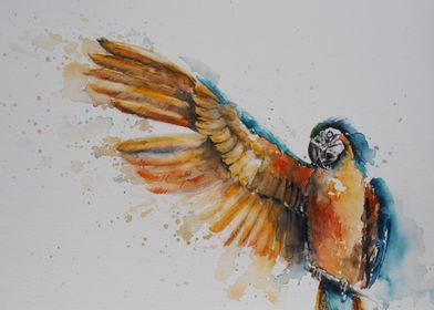 Parrot colorful watercolor