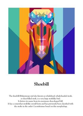 WPAP of Shoebill