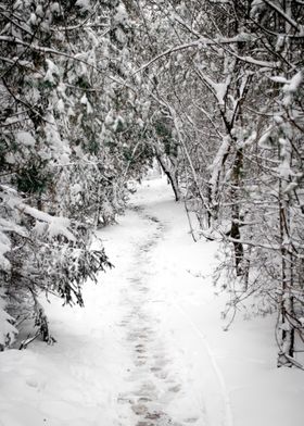 Gate to winter wonderland