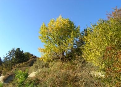 Autumn  hike