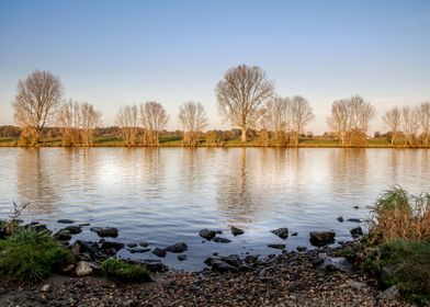 Dutch riverbank