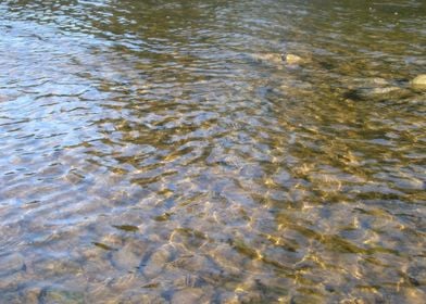 Shiny river water