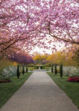 London Spring Regents Park