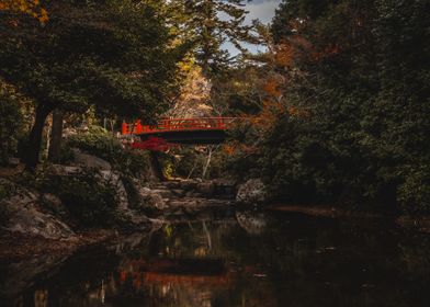 Miyajima Bridge in Autumn