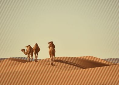 desert