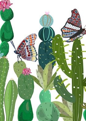 Cactus butterflies