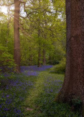 London Spring in Richmond 