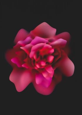 Abstract rose