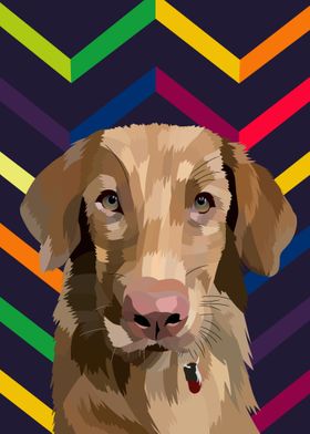 pet dog illustration