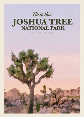 Visit Joshua Tree