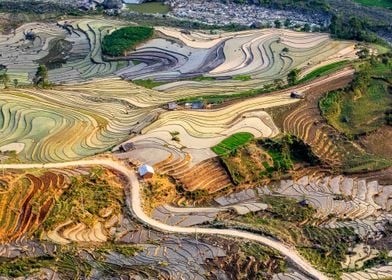 Terraces at sunset