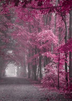 Pink and Plum Misty Forest