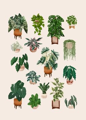 Plant Collection 7