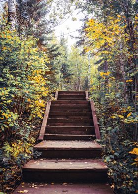 Stairs and Fall Colora