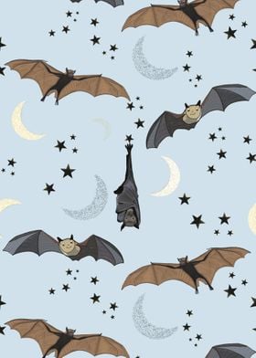 Bat and a starry night