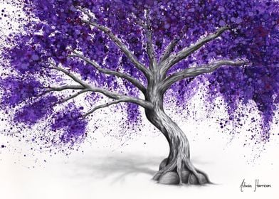 Purple Pepper Tree 
