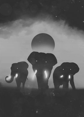 Elephant Herd