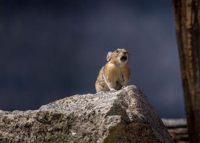 O Sole Mio