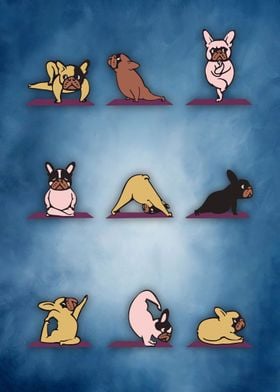 53 Yoga animal 53