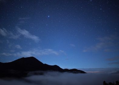 BLUE NATURE NIGHT