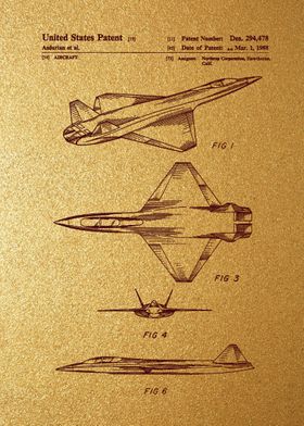 44 Northrop Stealth Airpl