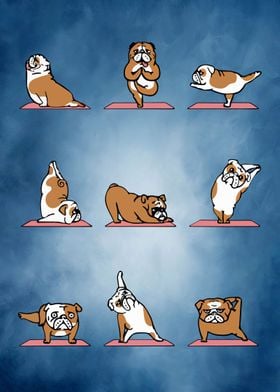 58 Yoga animal 58