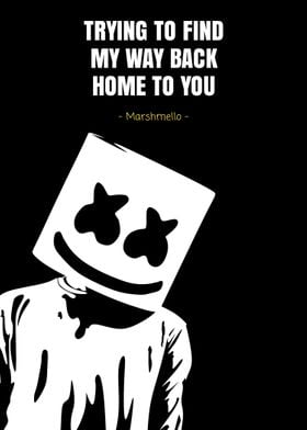 Marshmello quotes