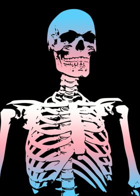 Trans Skeleton