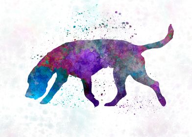 Artois Hound in watercolor