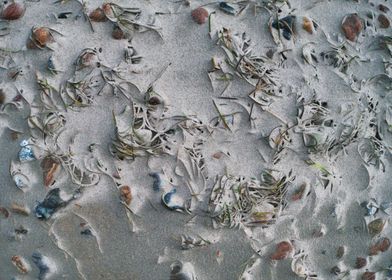 sand stones on the beach