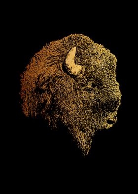 Bison portrait