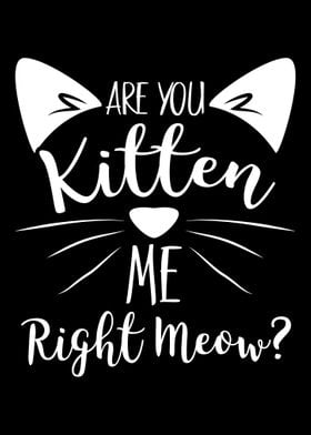 Are You Kitten Right Meow