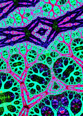 Trippy Groovy Fractal