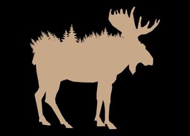 Moose Forest Moose Camping