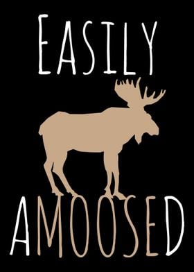 Easily Amoosed Moose Campi