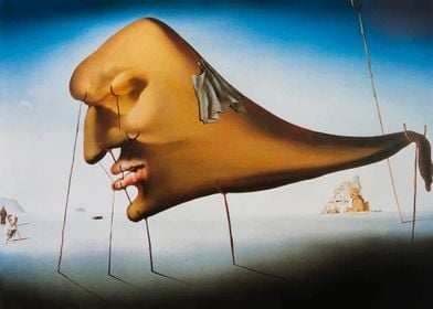 SALVADOR DALI THE DREAM