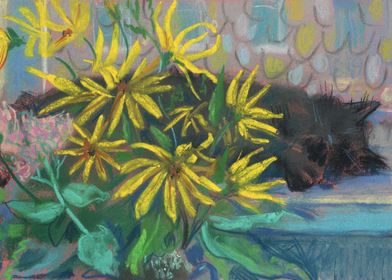 Sunflower Dreams Black Cat