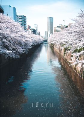 Meguro River Tokyo
