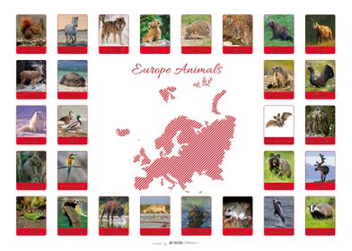 EUROPE ANIMALS