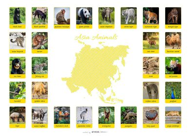 ASIA ANIMALS