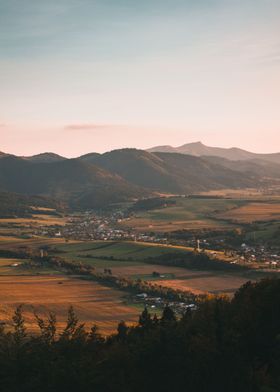 Sunny Fields