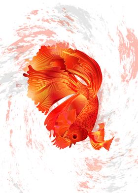 Siamese Fighting Fish