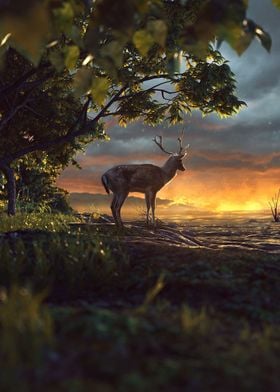 End of Deers