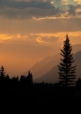 Sunset Silhouettes